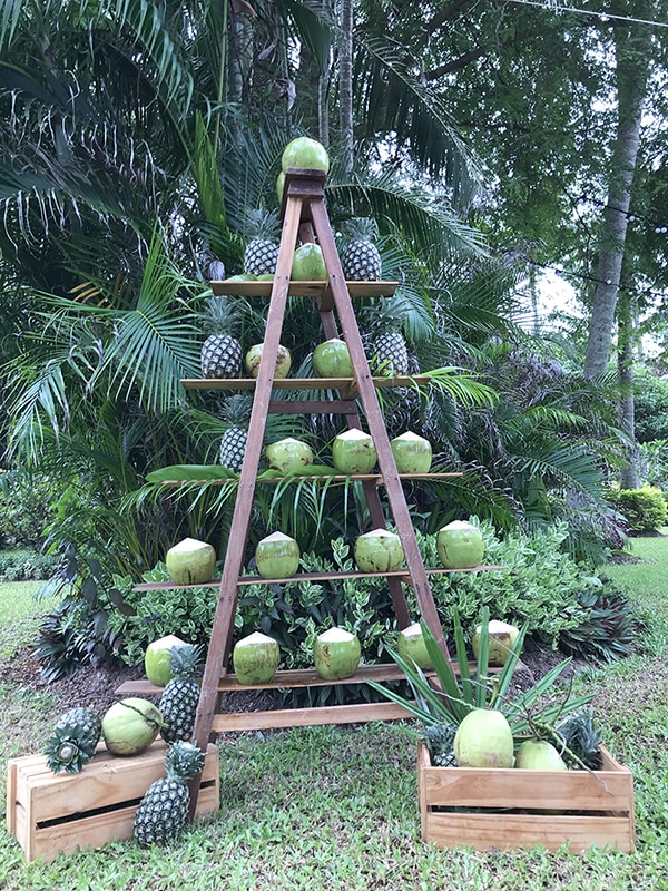 Coconut welcome drink station
