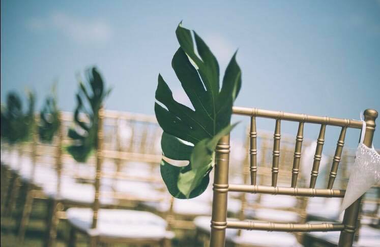 Monstera Leaf Chair Décor